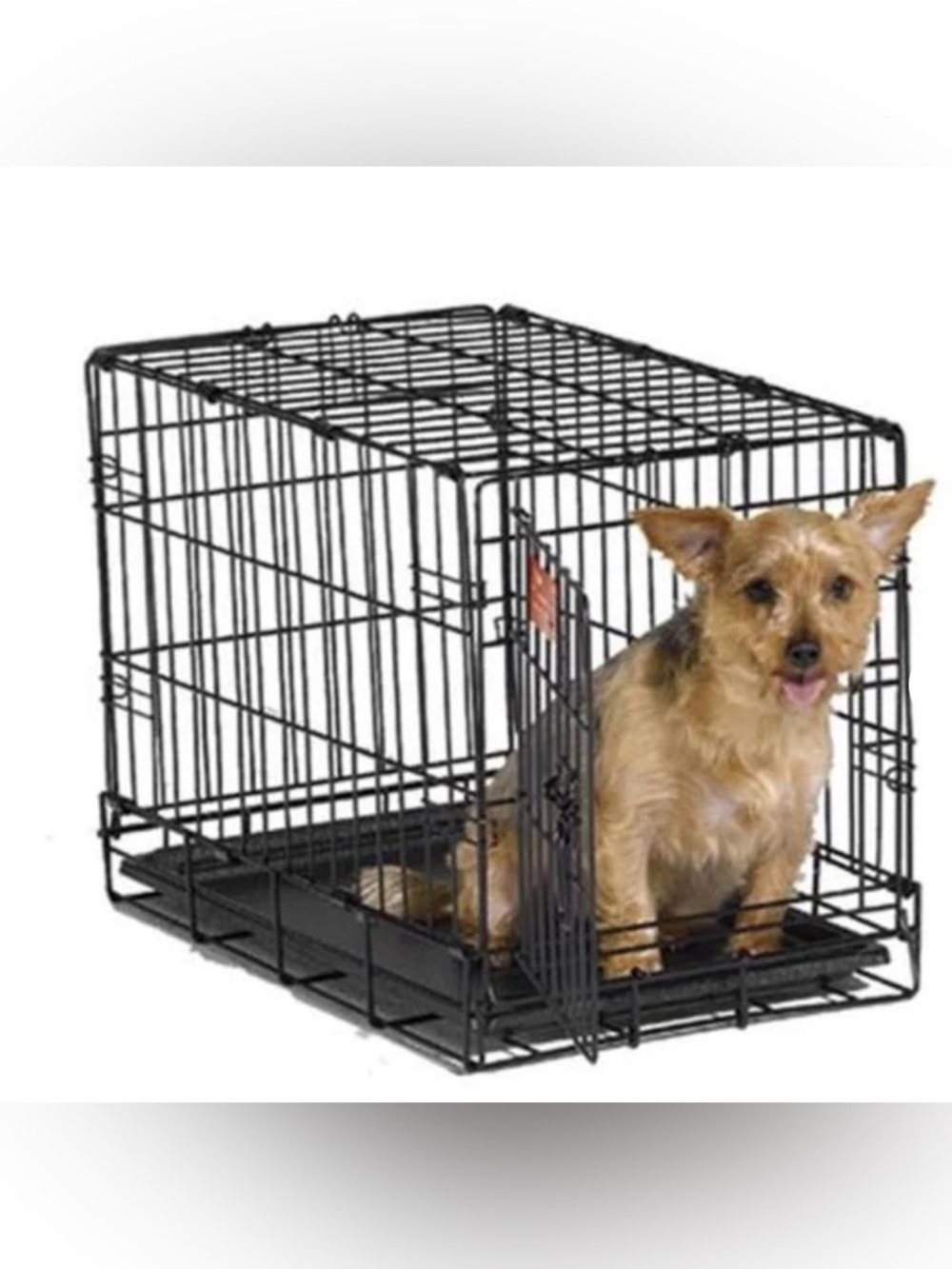 Black Metal Small Dog Crate with Removable Tray - Midwest
